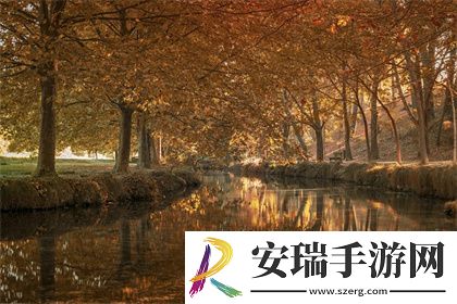 糙汉1/NH