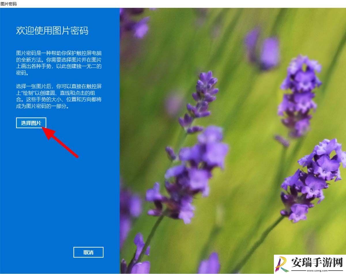 win11怎么设置图片图片密码