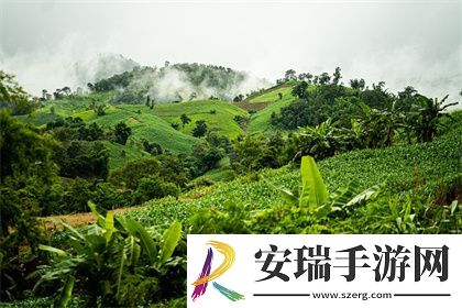 一面膜胸口一面膜下部位片段