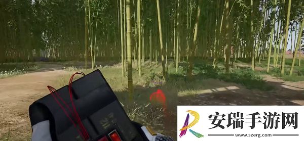 绝地求生荣都竹子在哪