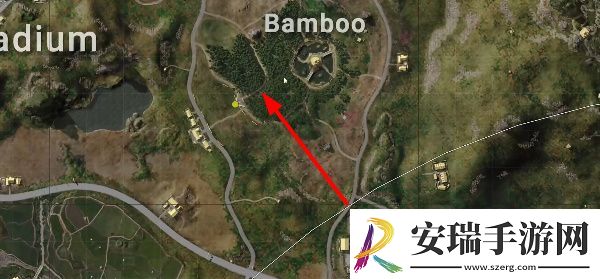绝地求生荣都竹子在哪