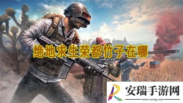 绝地求生荣都竹子在哪