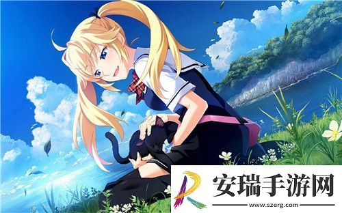 共享校霸
