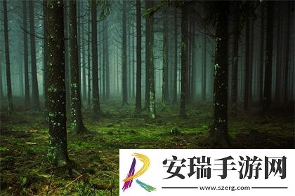 黄金网站大全oppo