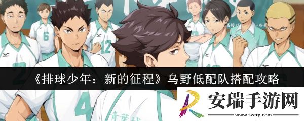 排球少年新的征程乌野低配队怎么搭配
