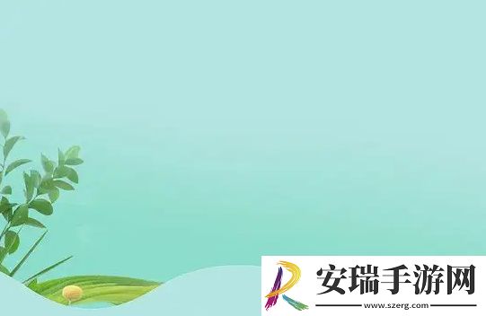 成品网源码78W78的特点剖析与功能介绍