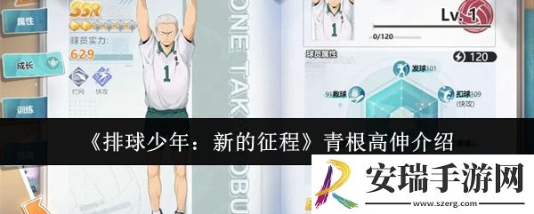 排球少年新的征程青根高伸怎么样