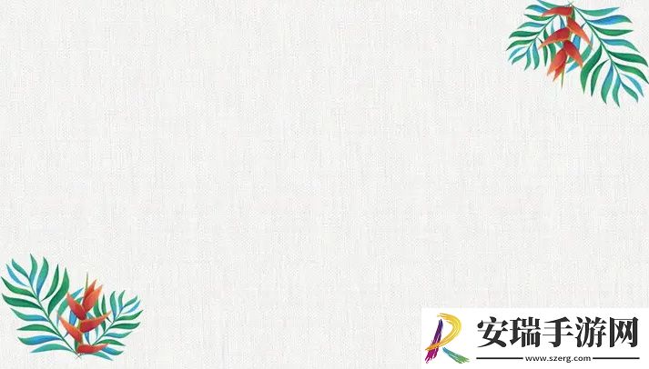 日本插槽x8是正规还是仿的分析与探讨
