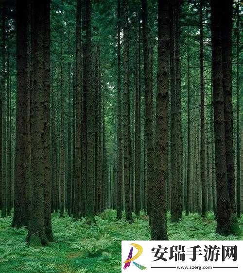 中国Windows