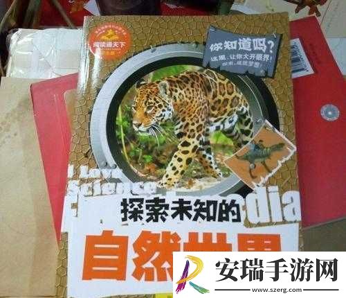 中国