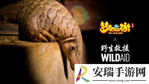 梦幻西游手游携手WildAid打造野生动物保护新玩法