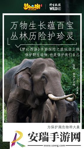 梦幻西游手游携手WildAid打造野生动物保护新玩法