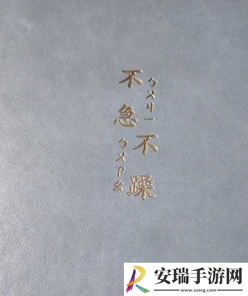 白天躁晚上躁天天躁