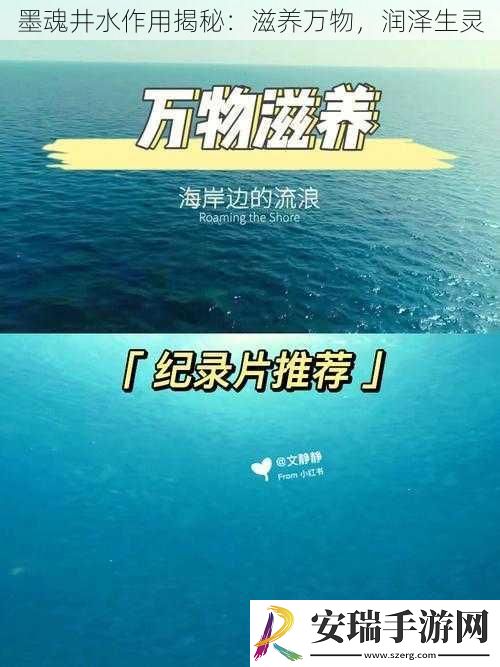 墨魂井水作用揭秘