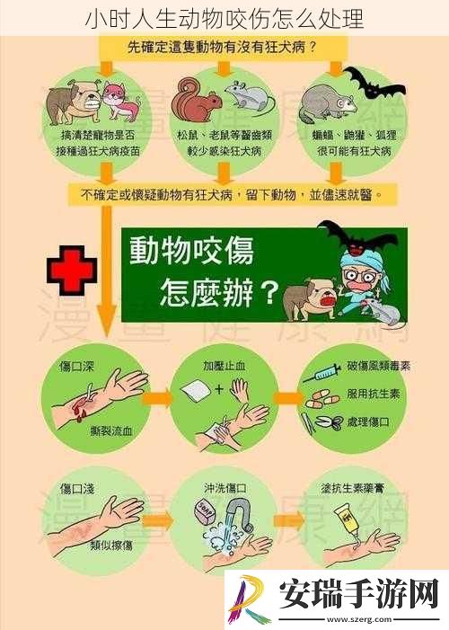 小时人生动物咬伤怎么处理