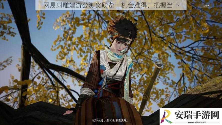 网易射雕端游公测奖励览