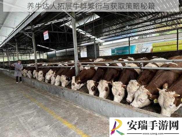 养牛达人拓展牛群繁衍与获取策略秘籍