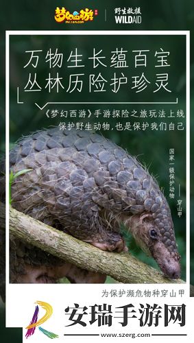 梦幻西游手游携手WildAid打造野生动物保护新玩法