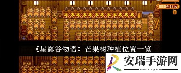 星露谷物语芒果树种哪里