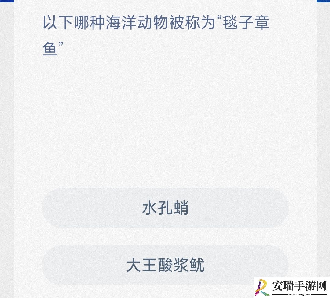 以下哪种海洋动物被称为毯子章鱼