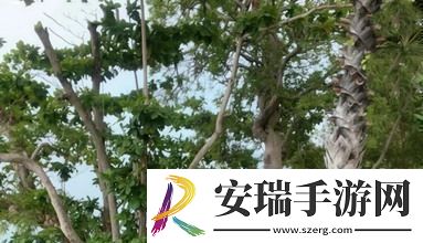 泛滥成灾！小烧货几天没弄了这么多水了