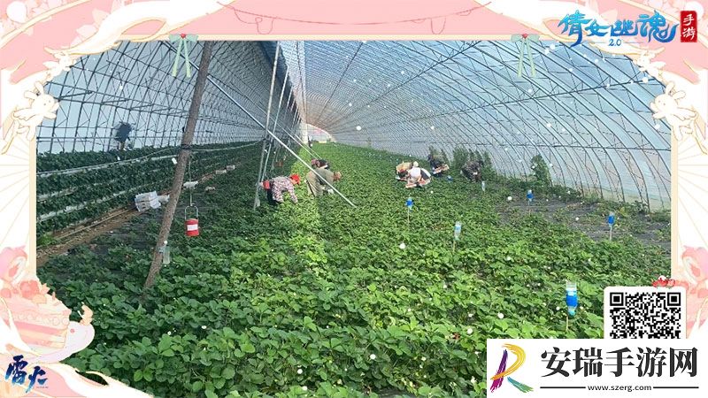 这个夏天许你草莓自由~全新时装甜夏之约激萌来袭！