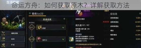 命运方舟