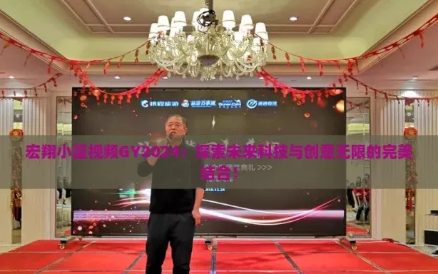 宏翔小蓝视频GY2024