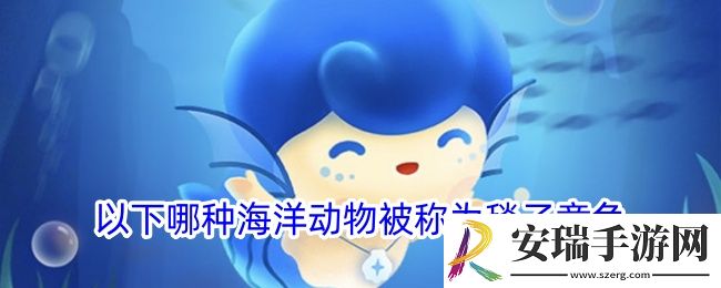 以下哪种海洋动物被称为毯子章鱼