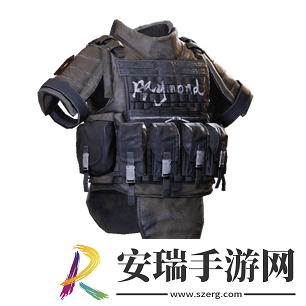 萤火突击雷蒙德暴熊涂装护甲有什么用