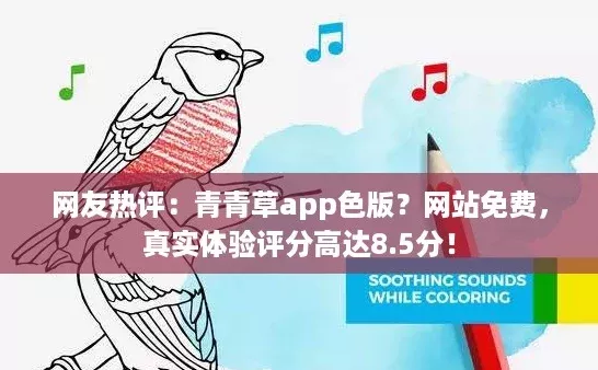 网友热评