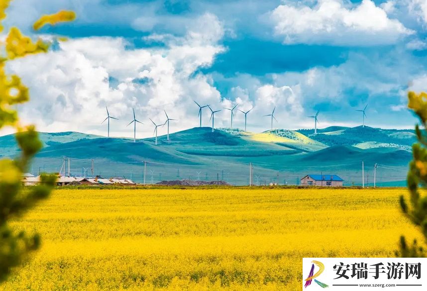 可不可以干湿你现场播放的趣味与实用性分析