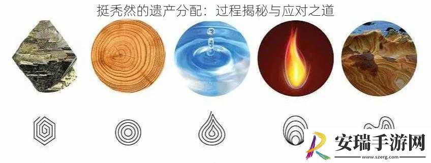 挺秃然的遗产分配