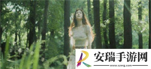 AAAA级毛皮最简单三个标志