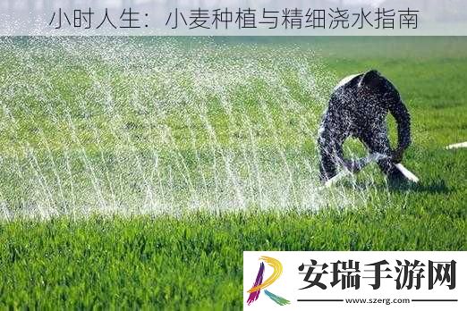 小时人生