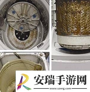 “小东西”旱鸭子转身几天不见水恢复需几许