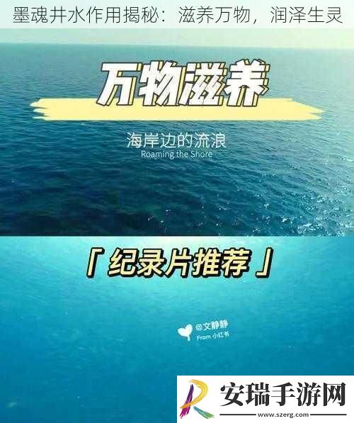 墨魂井水作用揭秘