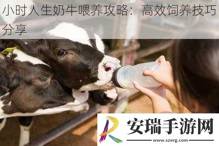 小时人生奶牛喂养攻略
