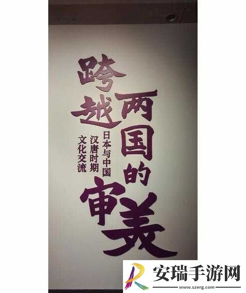 强the戏ㄟpro中国