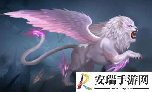 同行四载