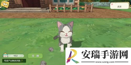 小森生活随记