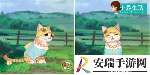 小森生活随记