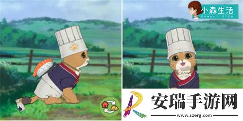 小森生活随记