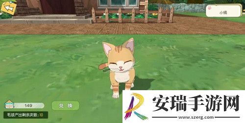 小森生活随记