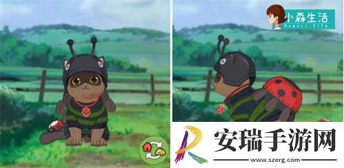 小森生活随记