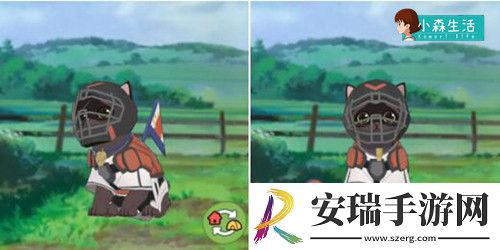 小森生活随记