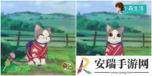 小森生活随记