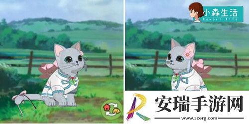 小森生活随记