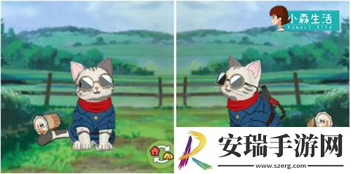 小森生活随记