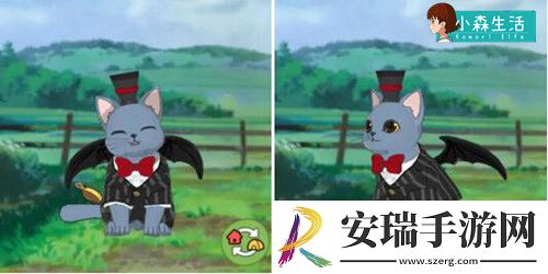小森生活随记